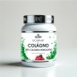COLAGENO HIDROLIZADO GOURMET