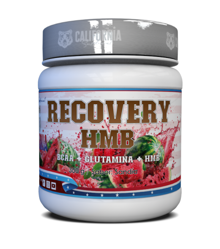 BCAA + Glutamina + HMB: Recuperación, Rendimiento y Construcción Muscular